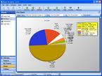 Pie Chart view displays this month\x26#39;s ...