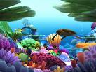 Marine Life 3D Screensaver - Marine ...