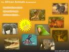 Screenshot of African Animals ...