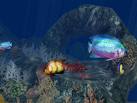 3D Aquatic Life Screensaver: Fish!