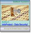 Encrypt and hide data within image ...