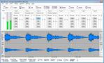 Acoustic Labs Multitrack Recorder