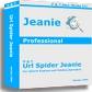 Url Spider Jeanie Export to: ...