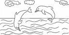 Dolphins, Original Draw